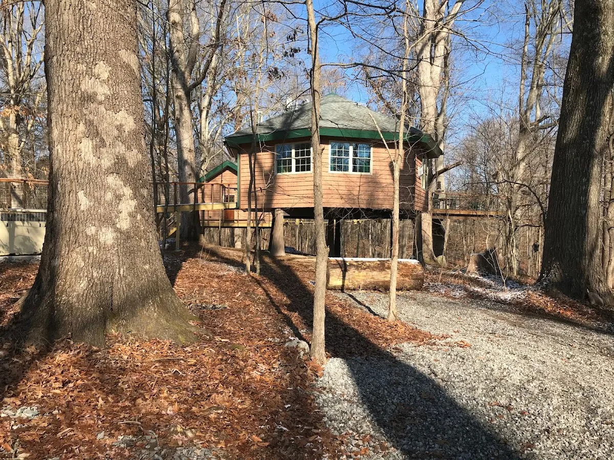 Greenbrier Beechhouse Luxury Treehouse