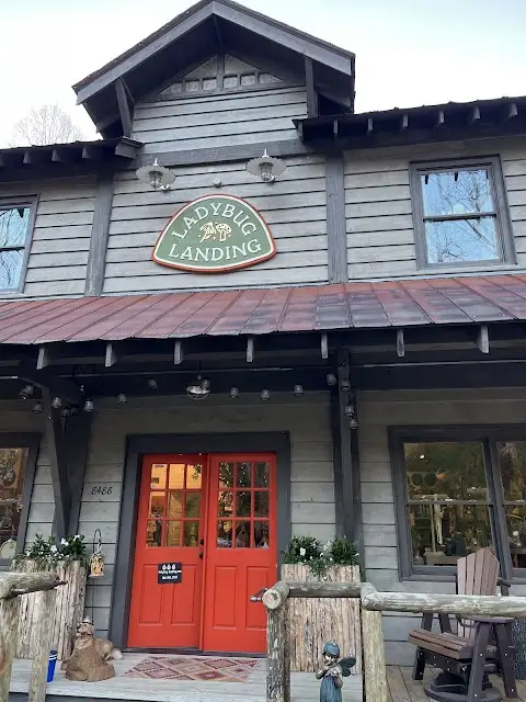 Ladybug Landing in Tiger GA