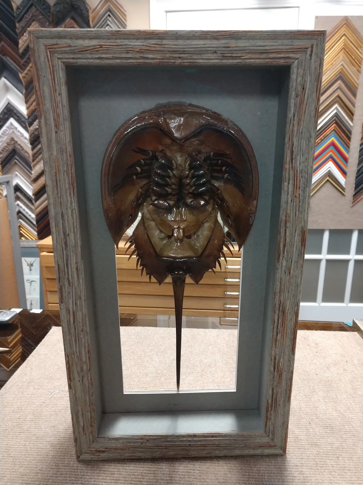 Donovan's Custom Framing and Gifts