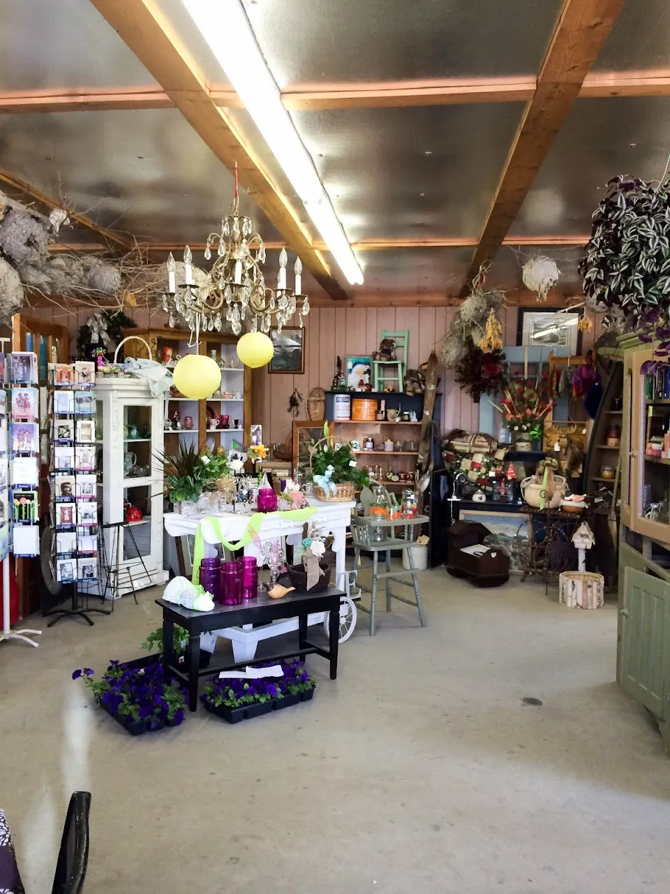 Christie's Potting Shed