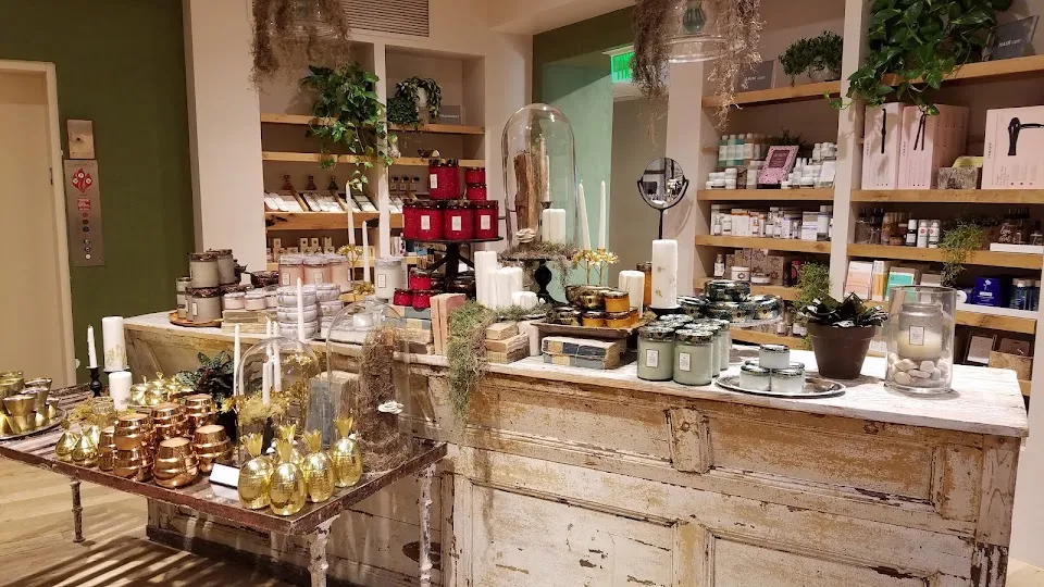 Anthropologie
