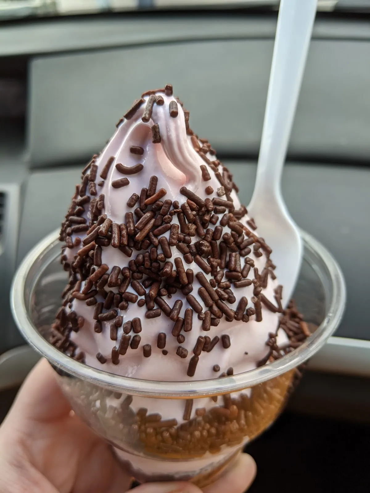 Dairyland