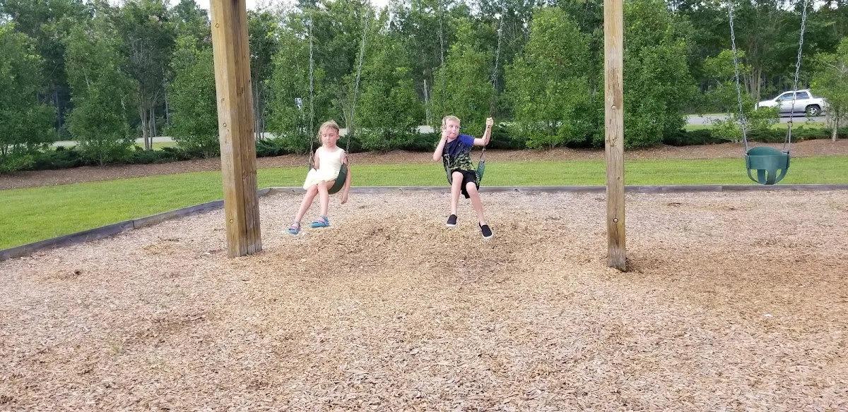 Brickhope Plantation Playground