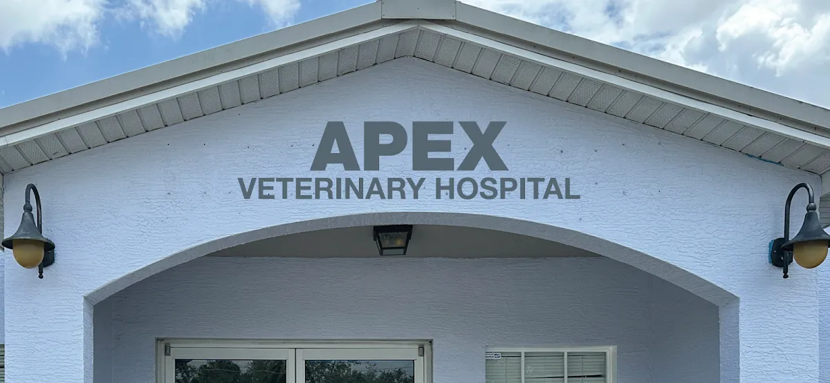 Apex Veterinary Hospital