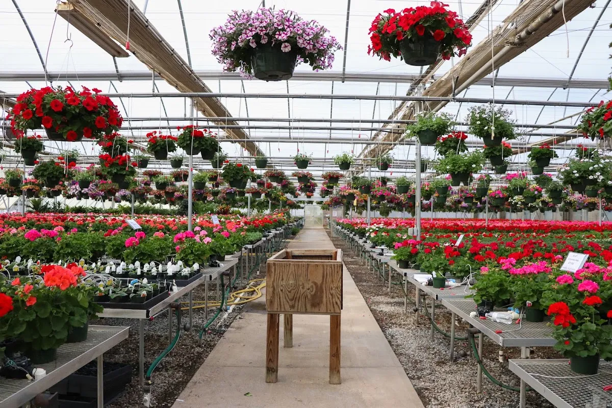 Mitchell's Nursery & Greenhouse Inc.