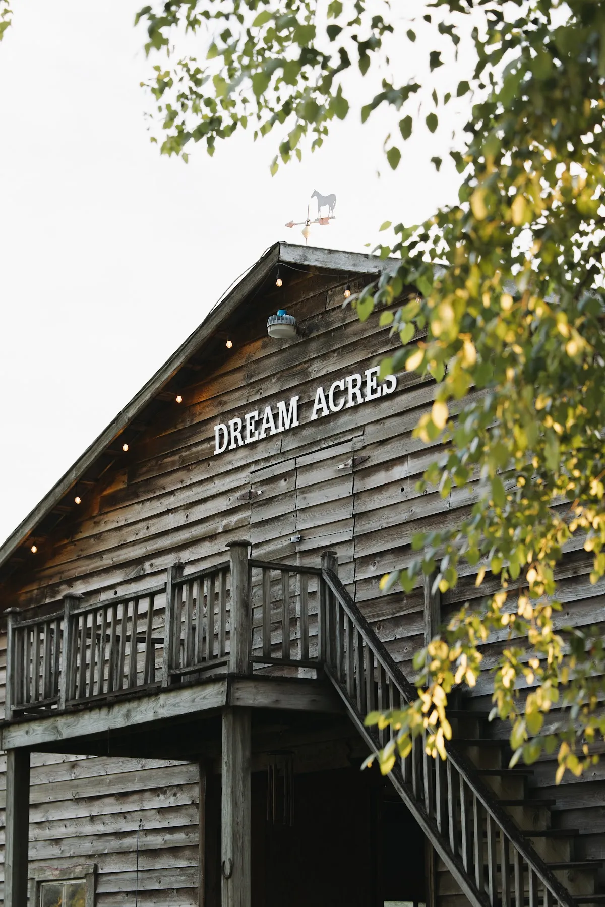 Dream Acres