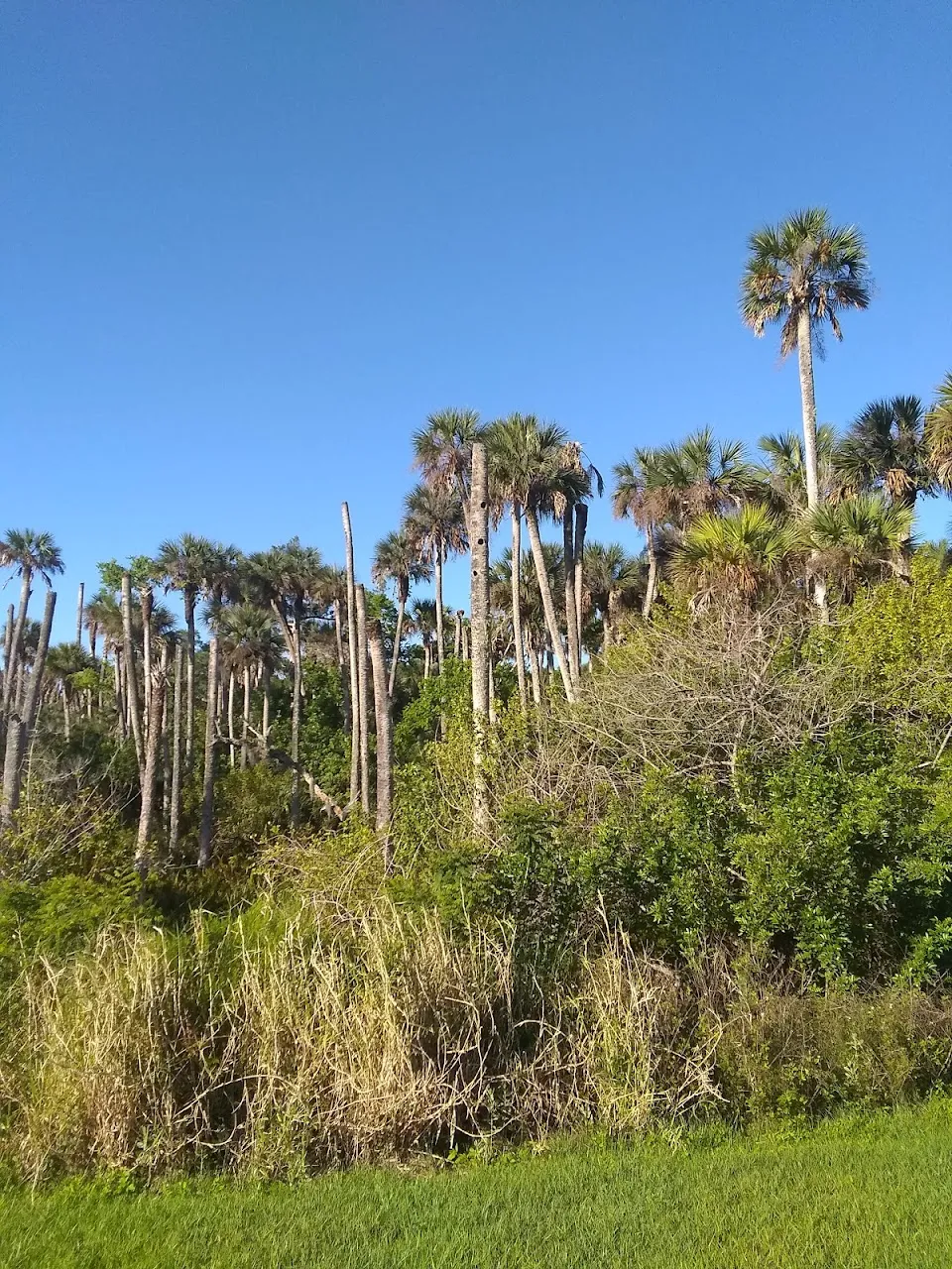 Otter Park South