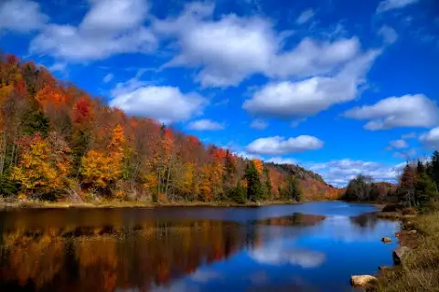 Bald Mountain Pond