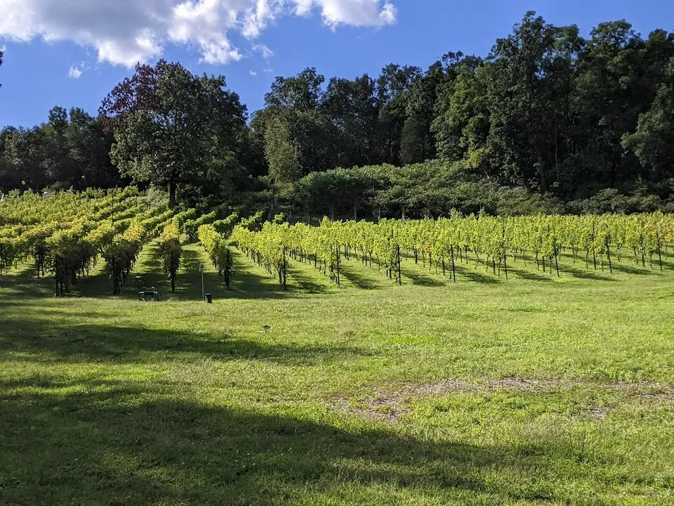 Clearview Vineyard & Winery