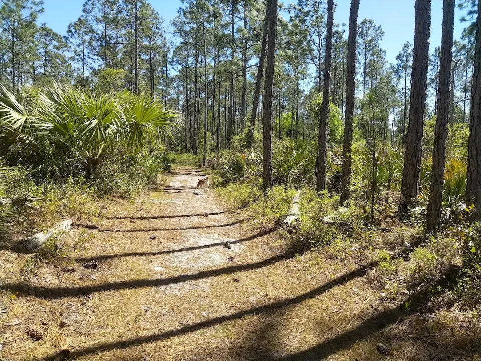 Palm Bluff Conservation Area