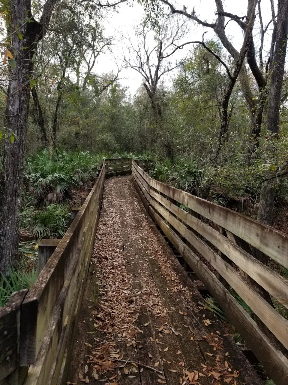 Cypress Lakes Preserve