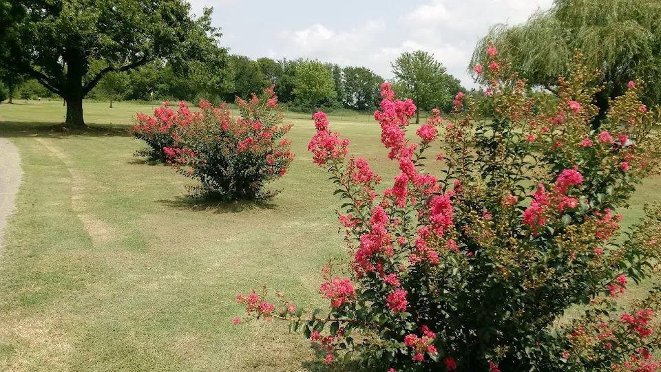 Tahlequah city course/RIVERLINKS GC