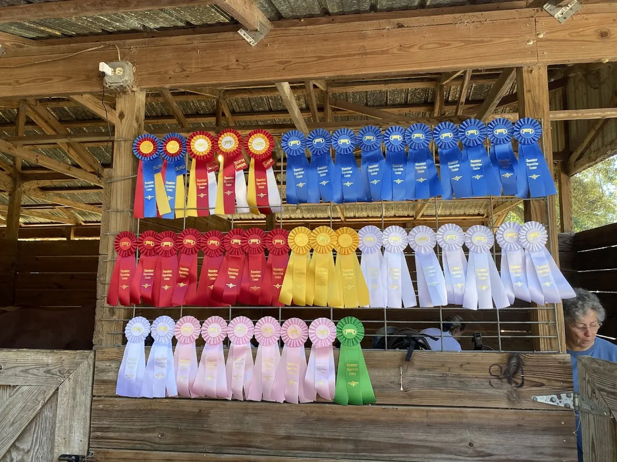 Lone Palm Stables