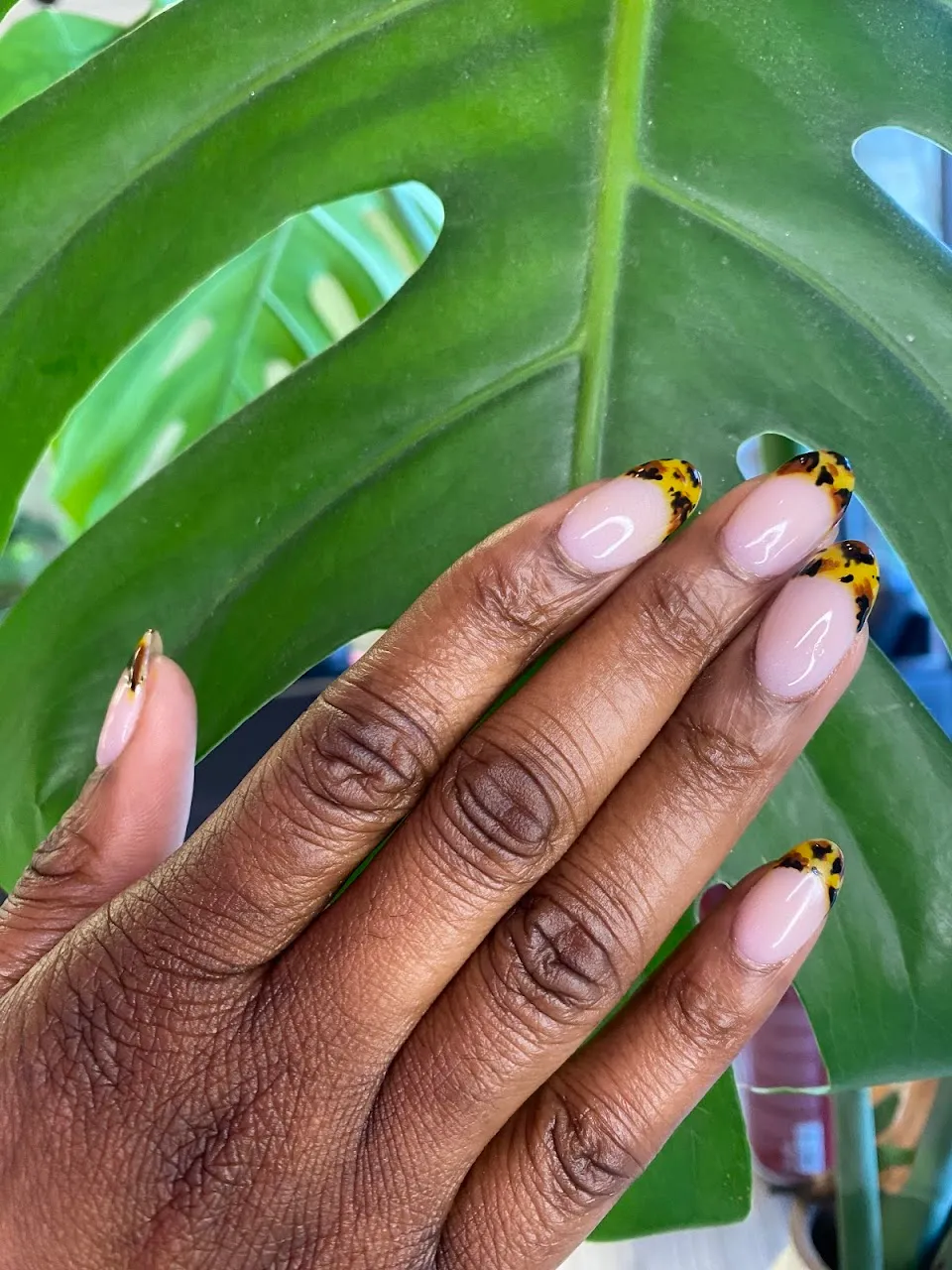 Sugarcoat Nail Salon