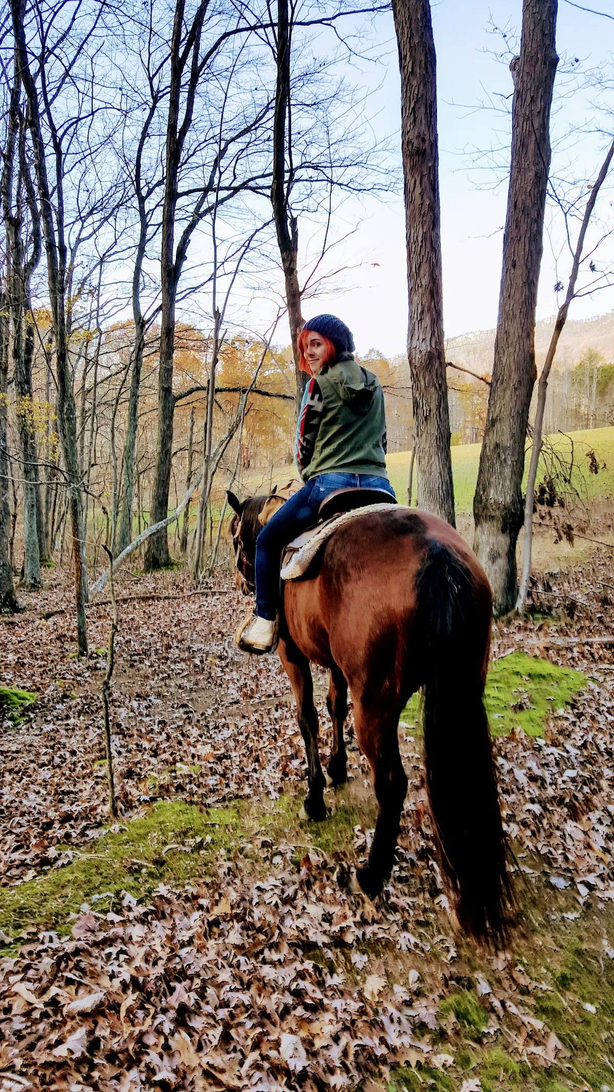 Bregman's Pleasure Horses
