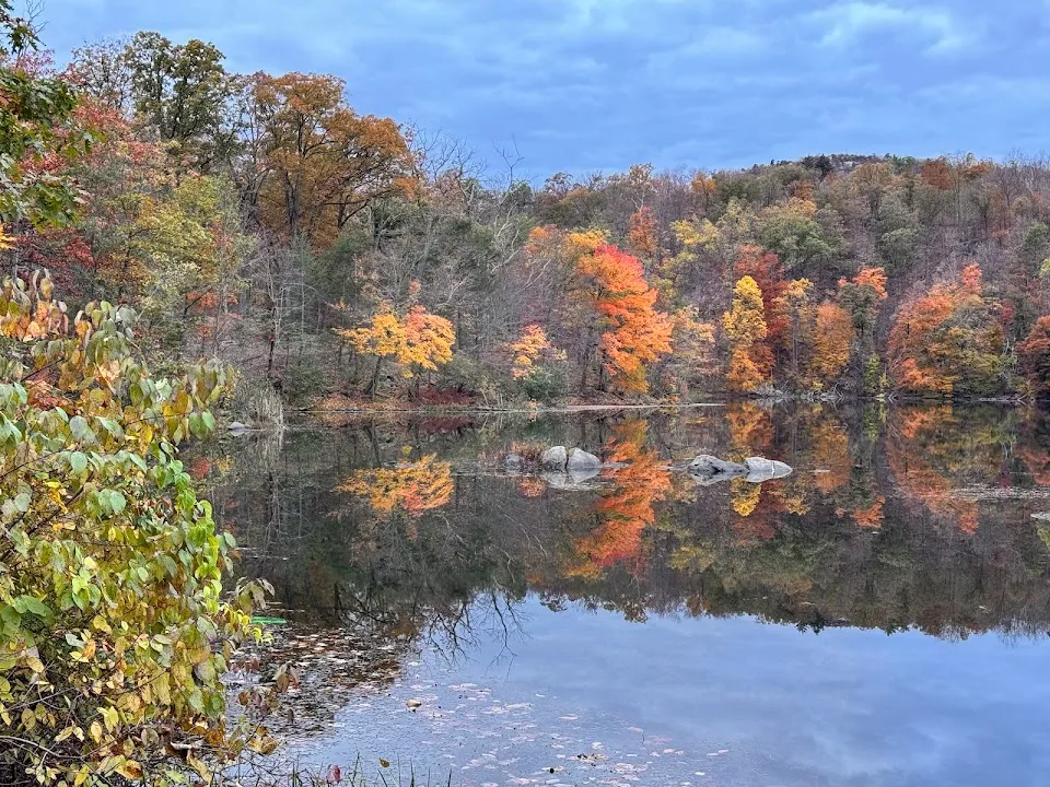 Brooks Lake Trail Trailhead