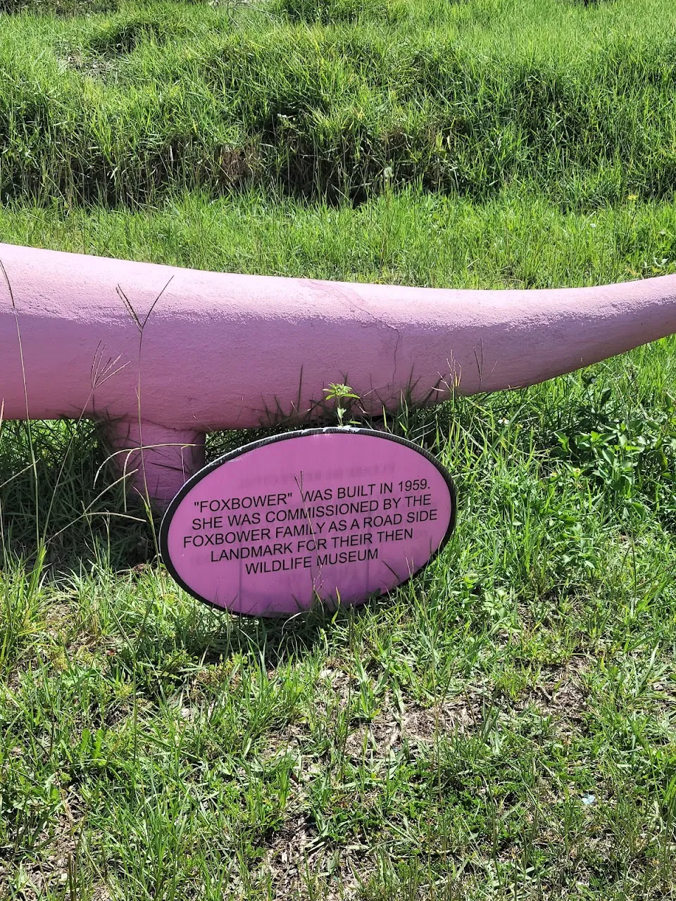Spring Hill Pink Dinosaur
