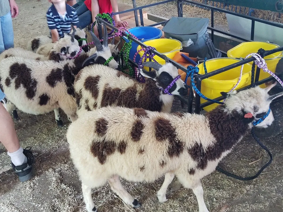 Schoharie County Sunshine Fair
