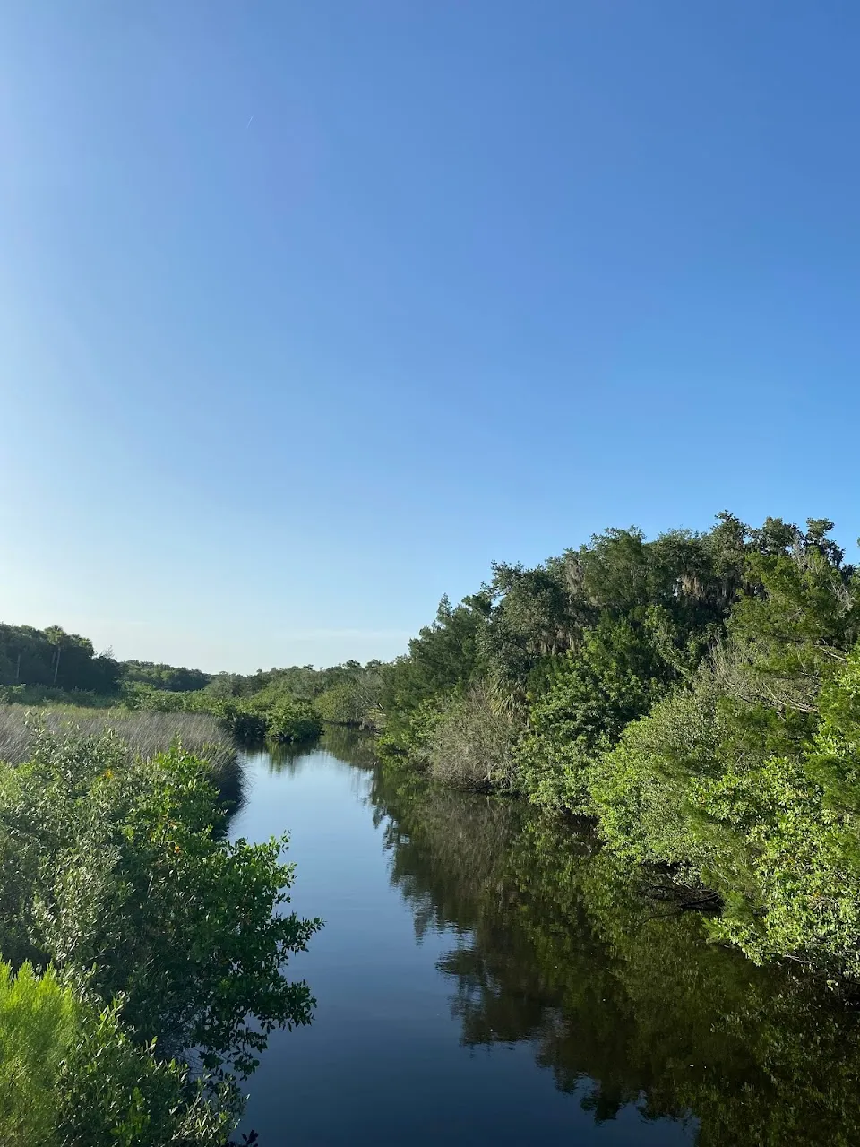 Otter Park South