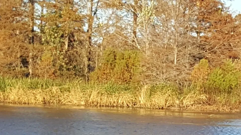 LOWFALLS LANDING BAITSHOP