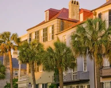 Charleston's Finest City Guide