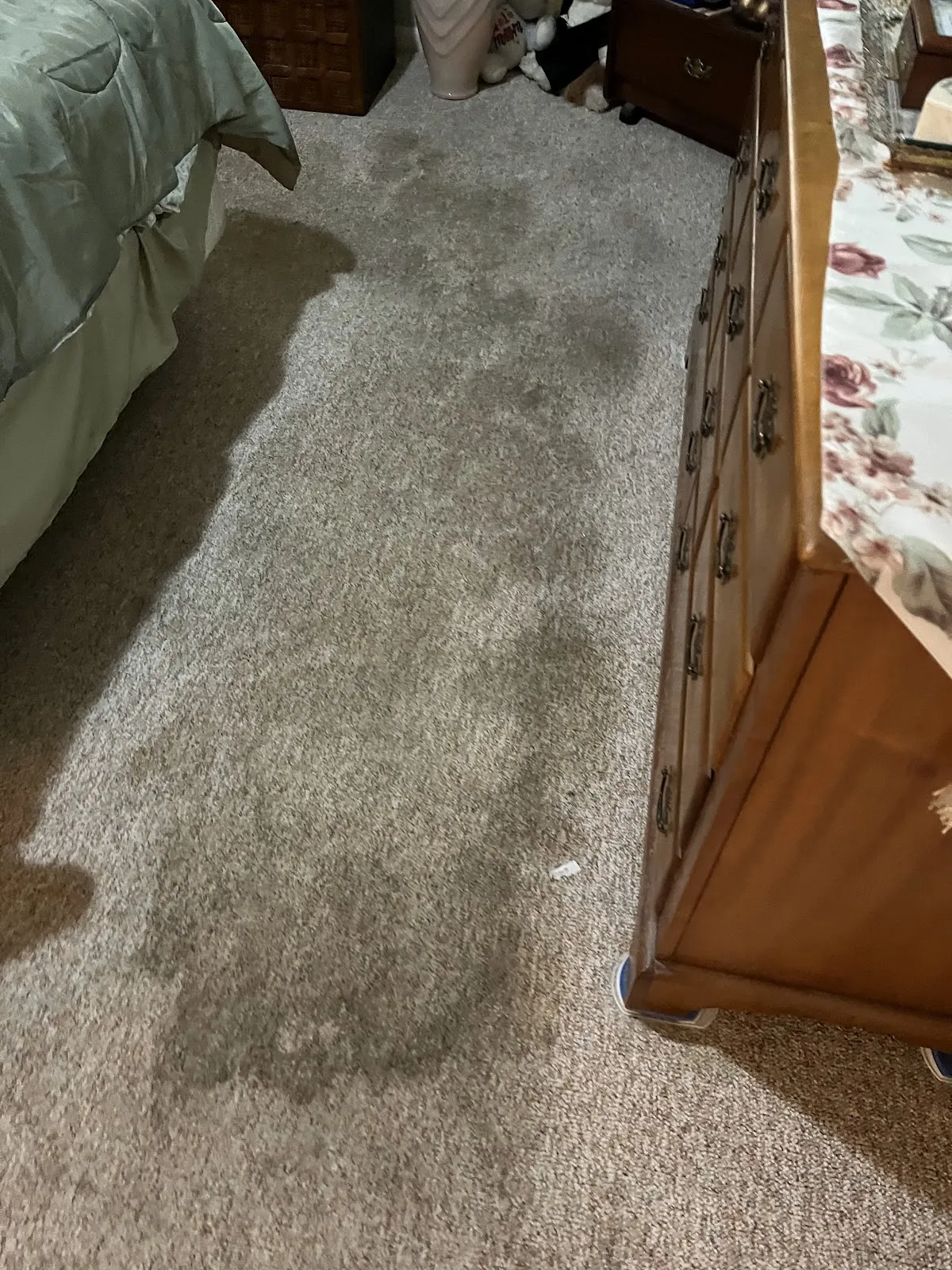 Quick Dry Carpet & Upholstery