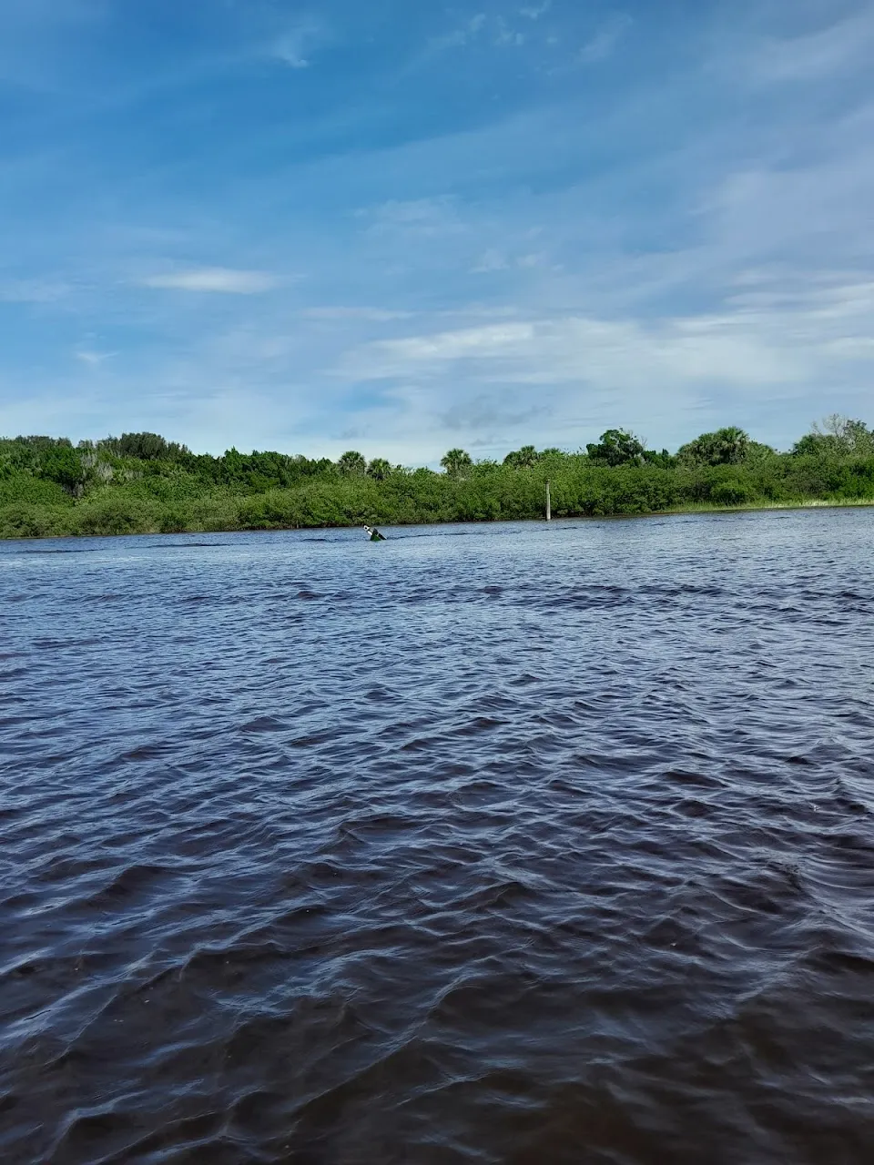 Inlet Shores Park