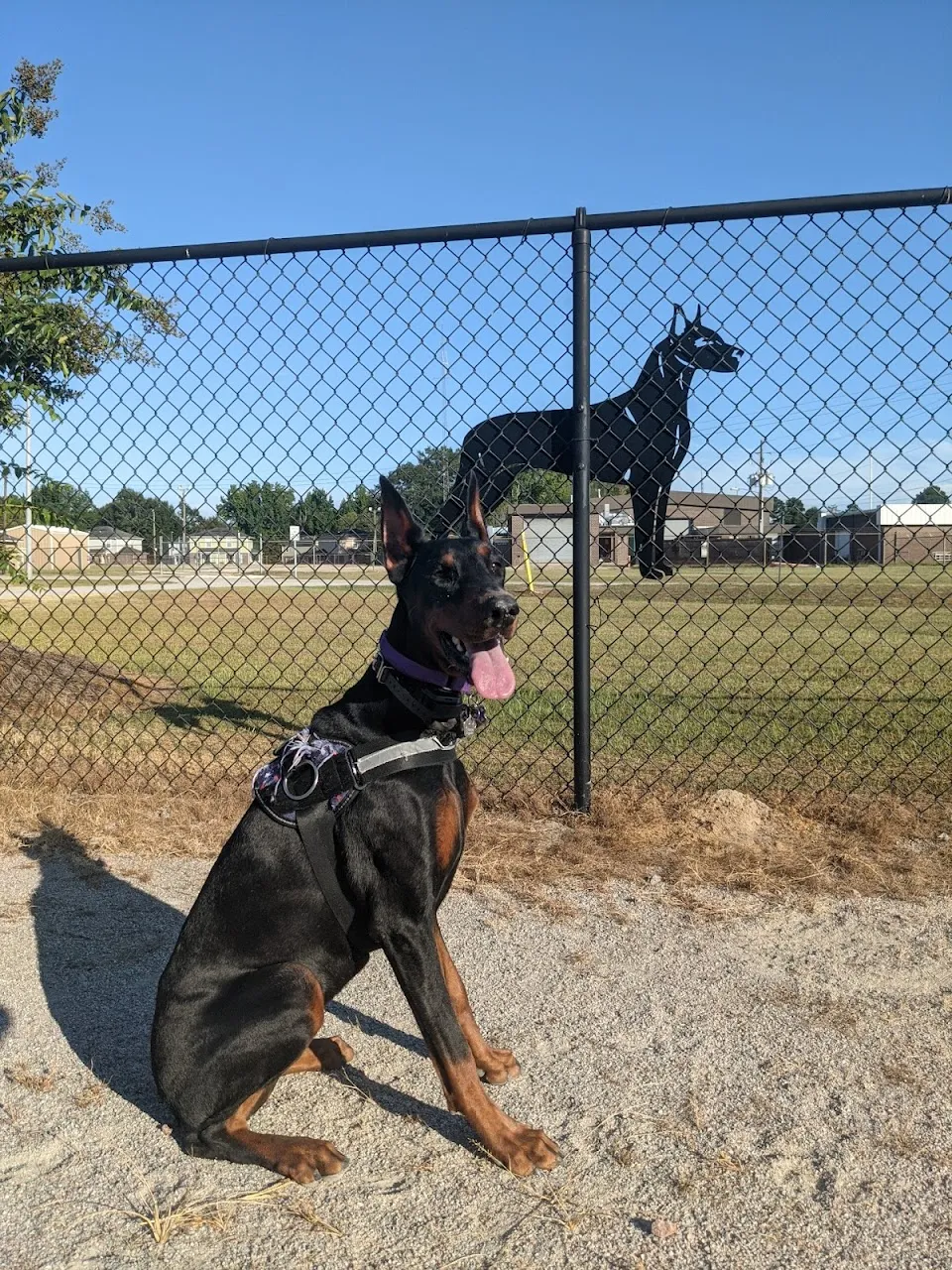 BarkPark