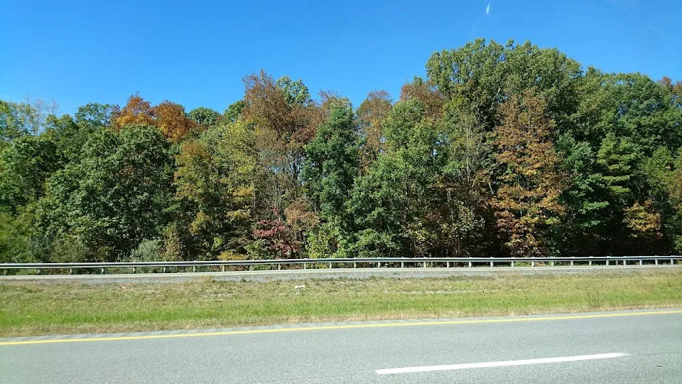 U.S. 460