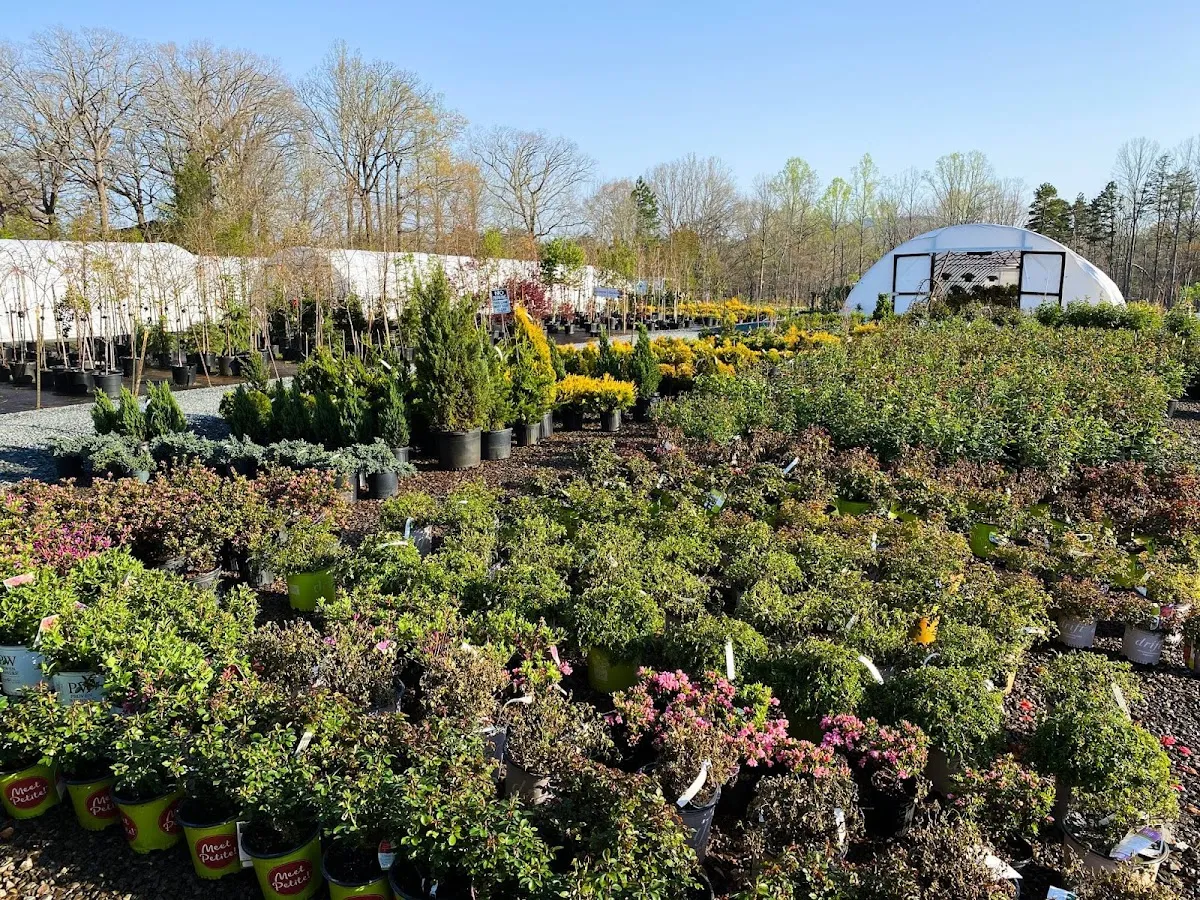Mitchell's Nursery & Greenhouse Inc.