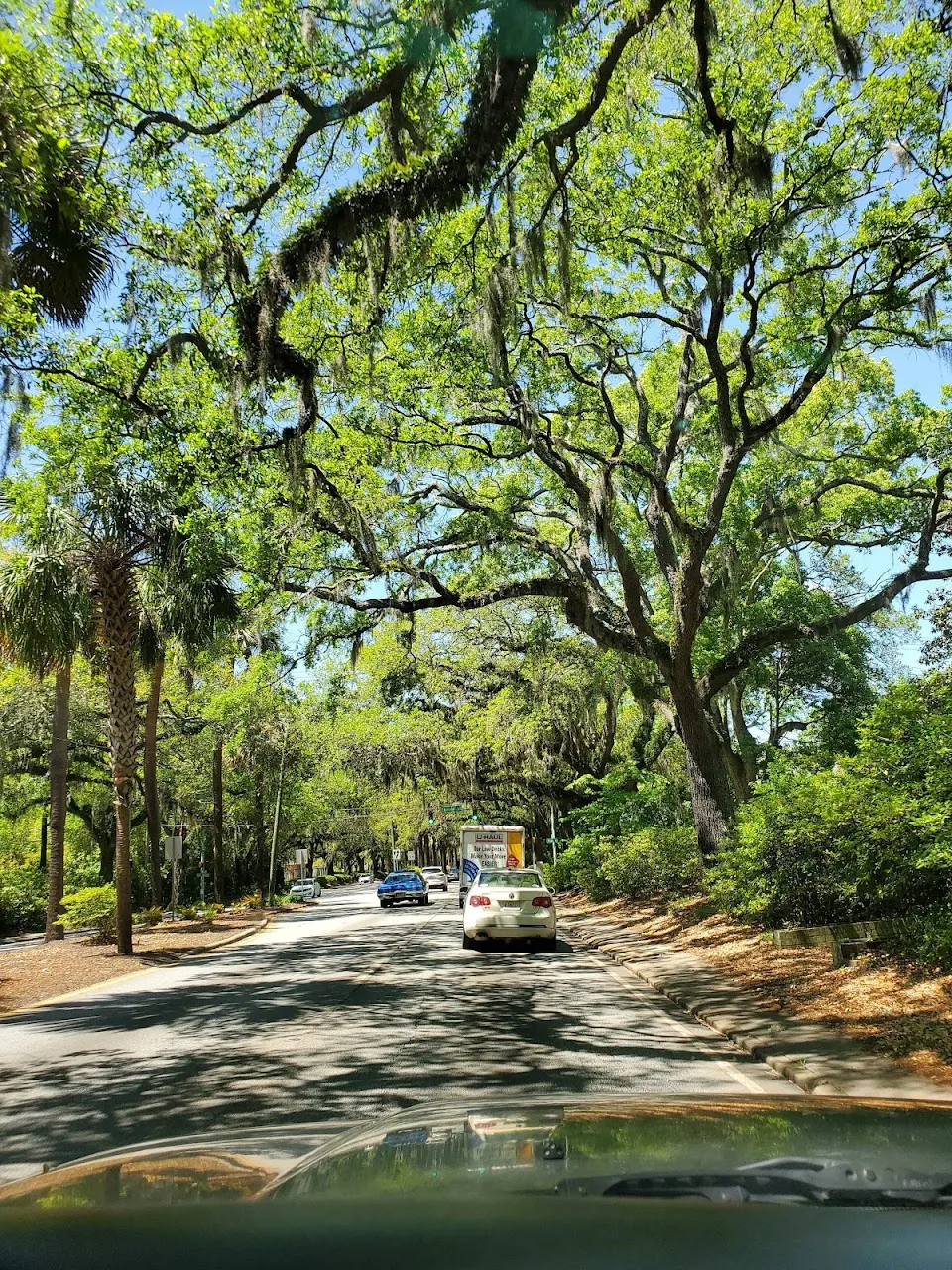 Theus Park
