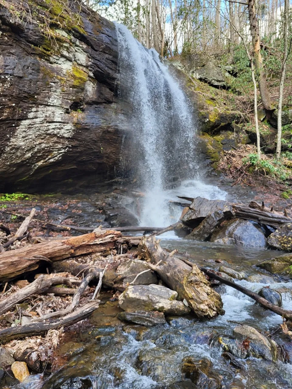 Denton Creek