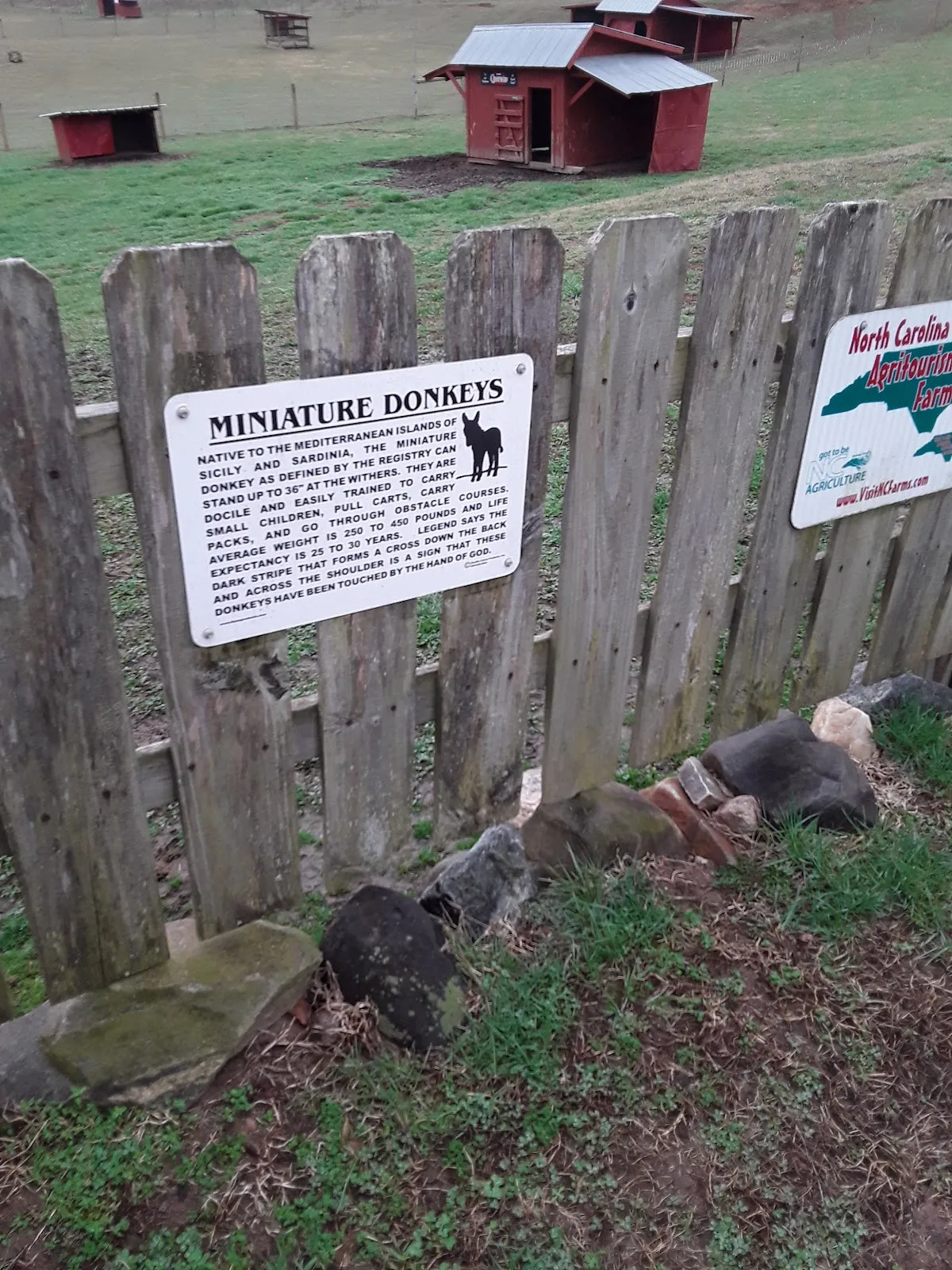 Buffalo Creek Farm and Creamery, LLC
