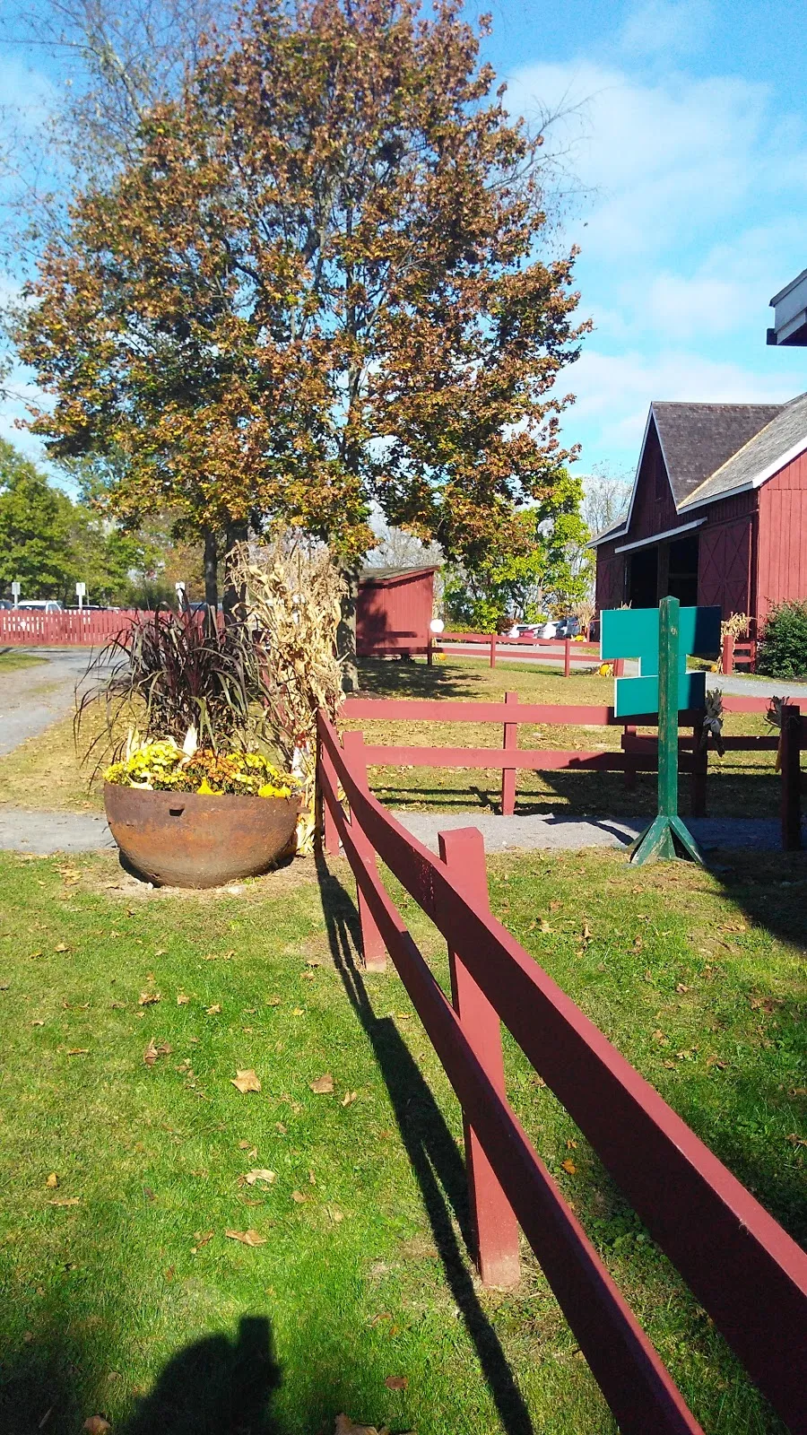 Hill-Hold Museum
