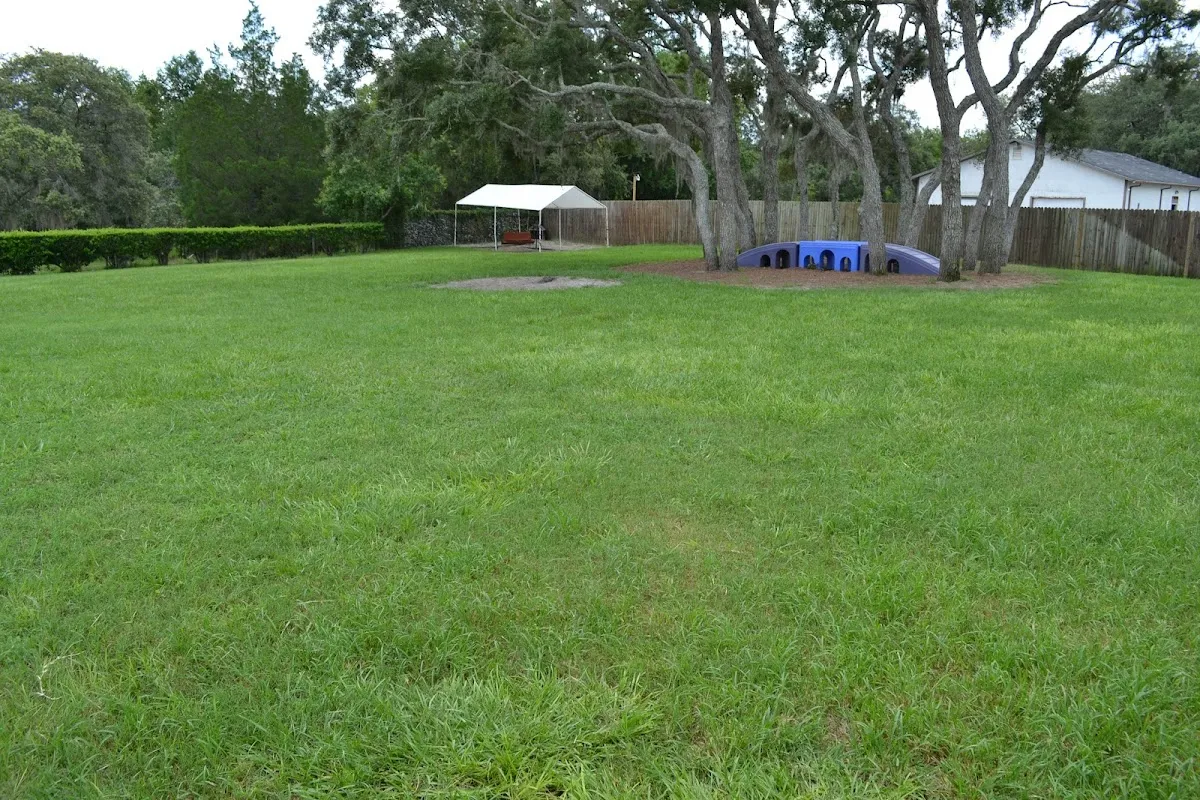At Home With Heidi Doggie Daycare