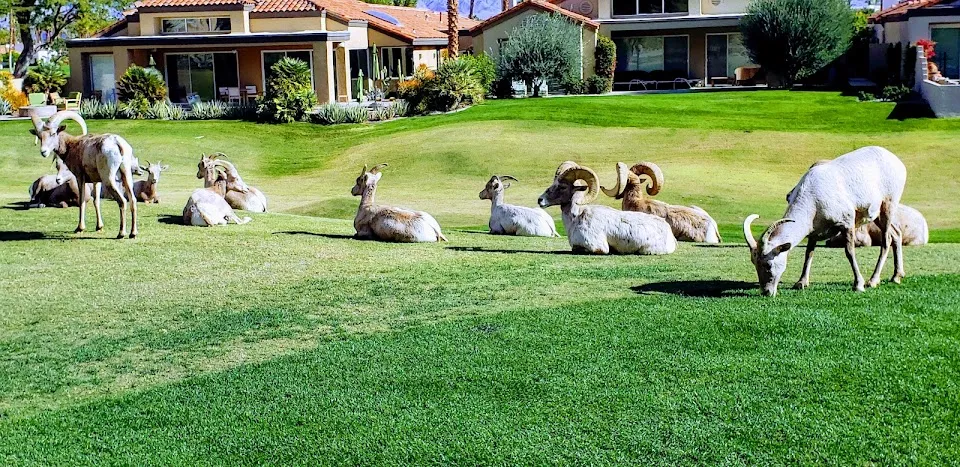 PGA WEST Jack Nicklaus Private Course