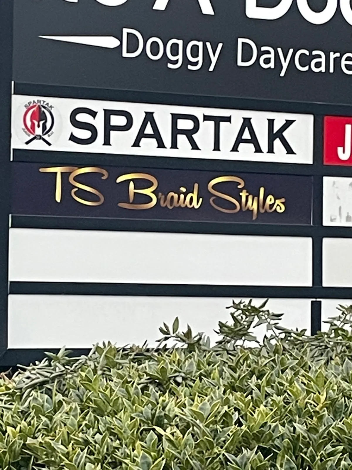 T.S. Braid Styles