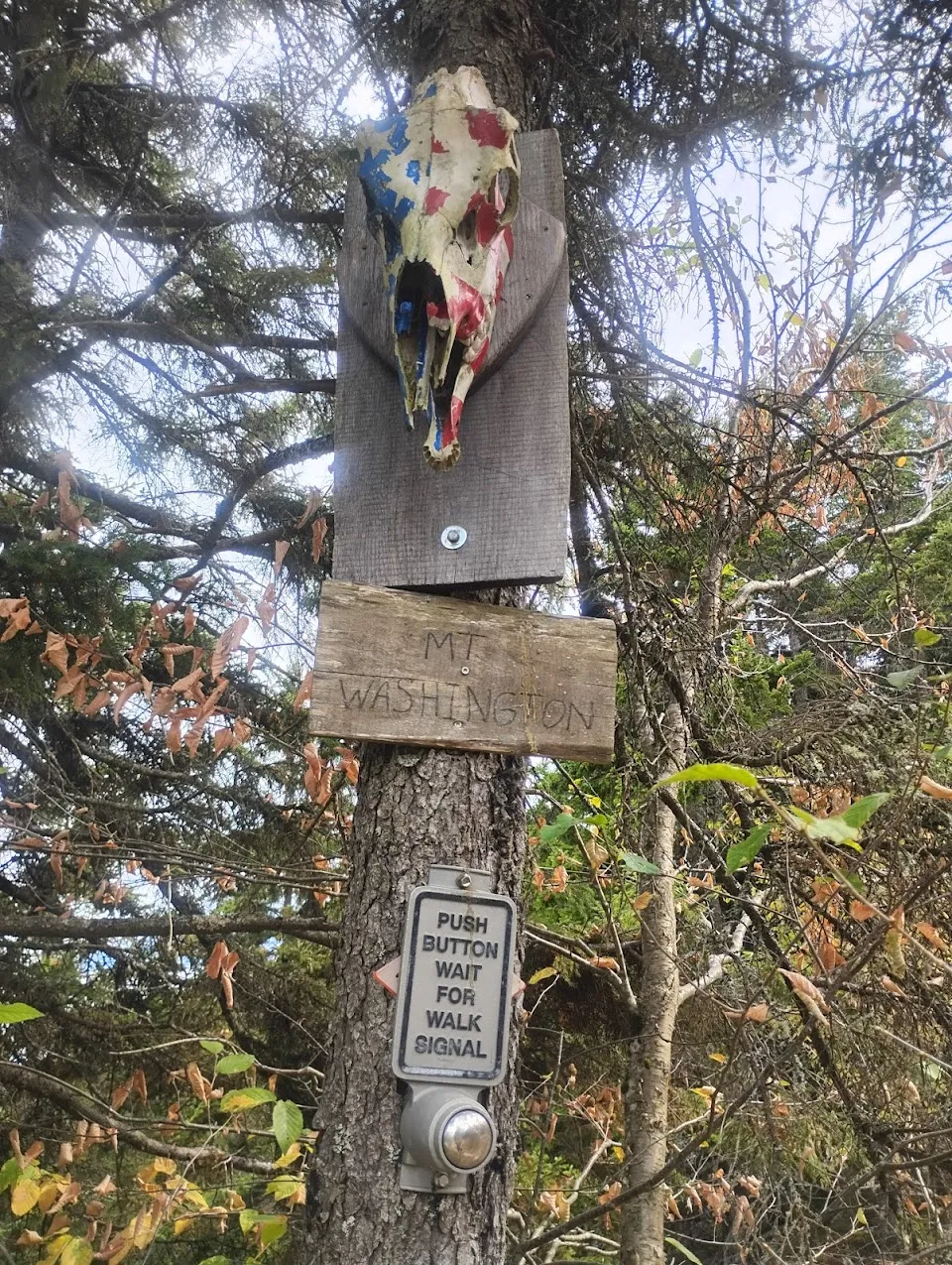 Little Mount Washington