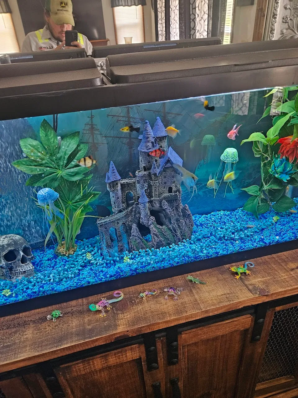 Petco