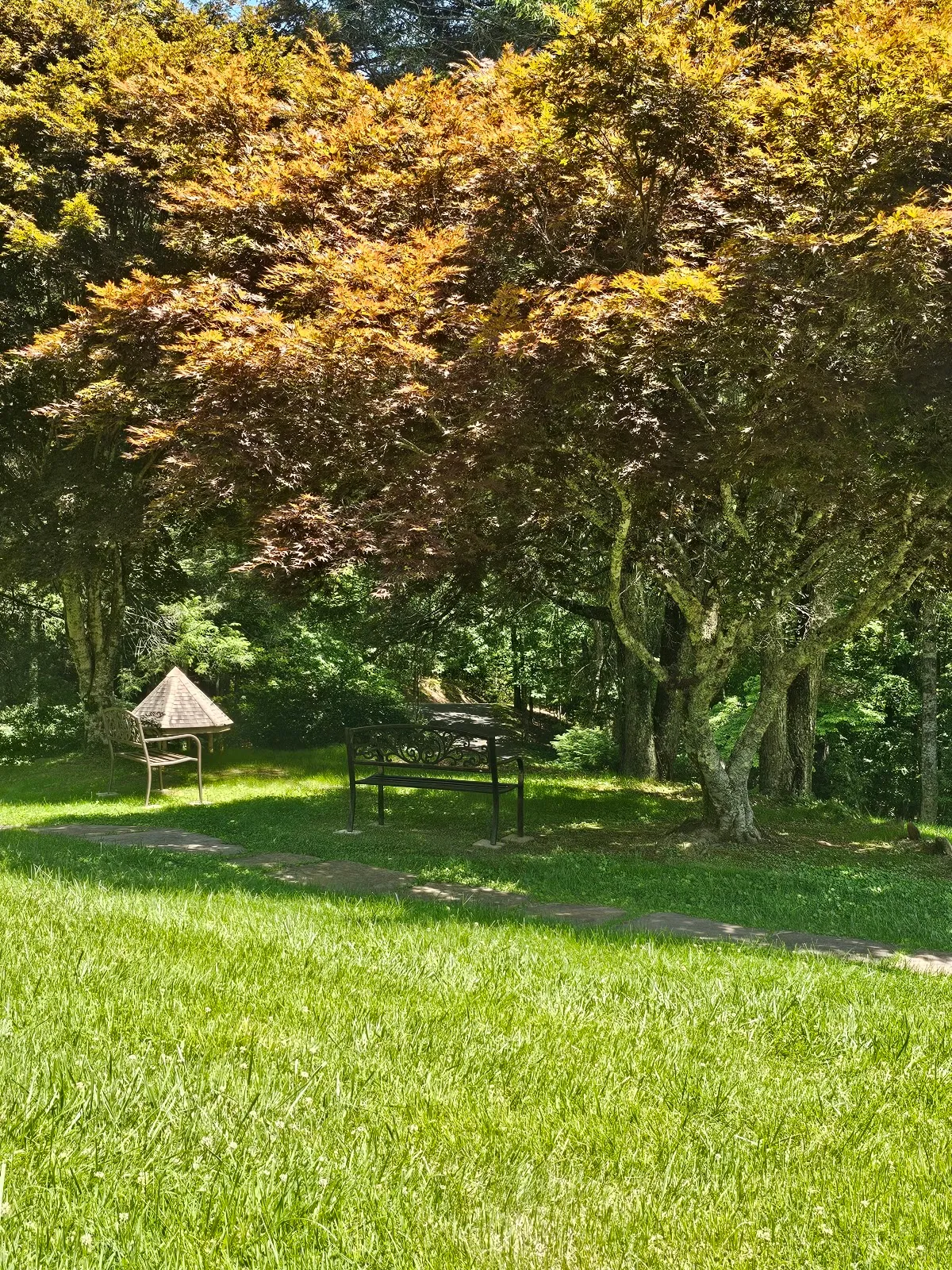 Center for Spiritual Awareness