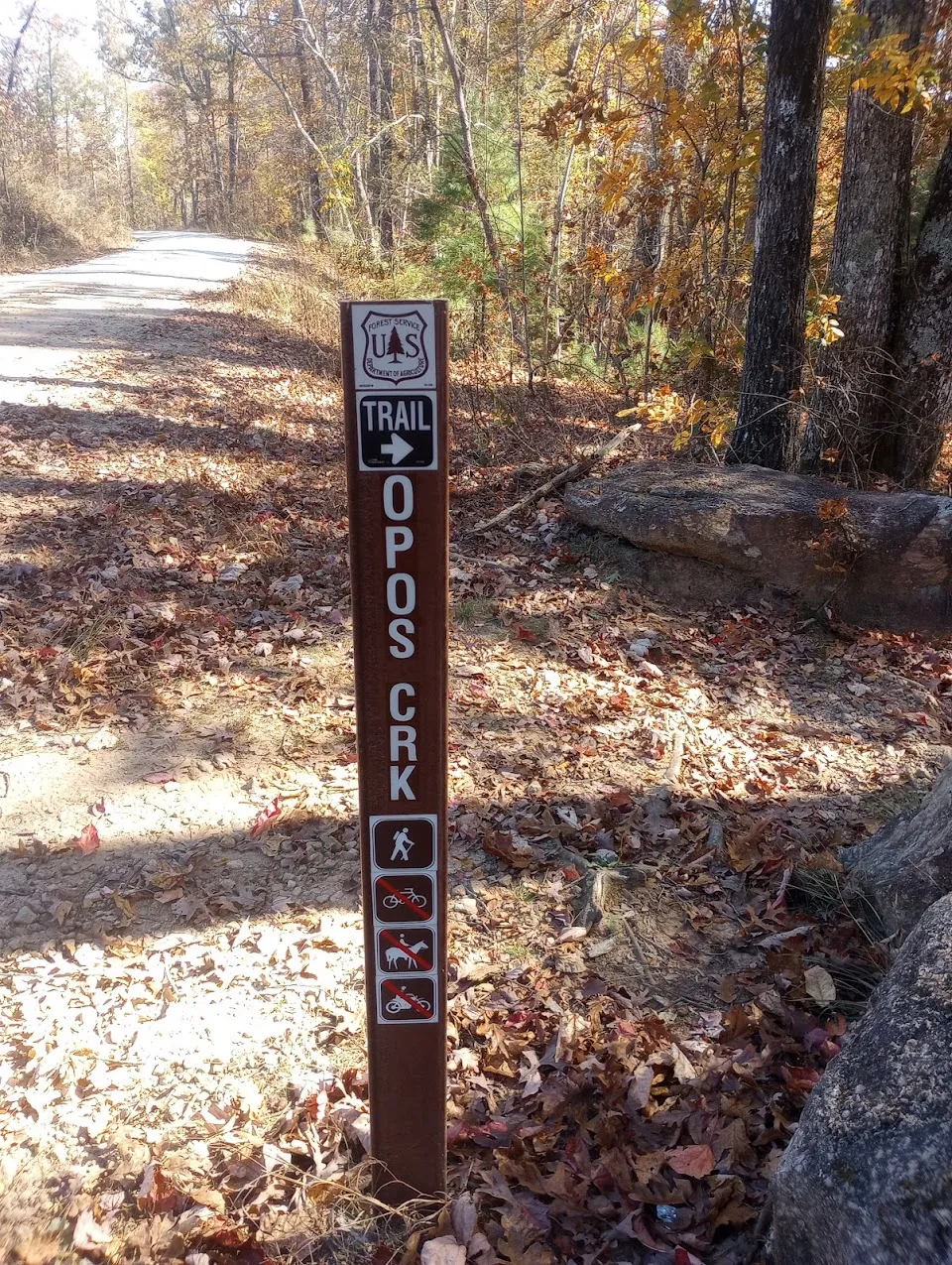 Opossum Creek Falls