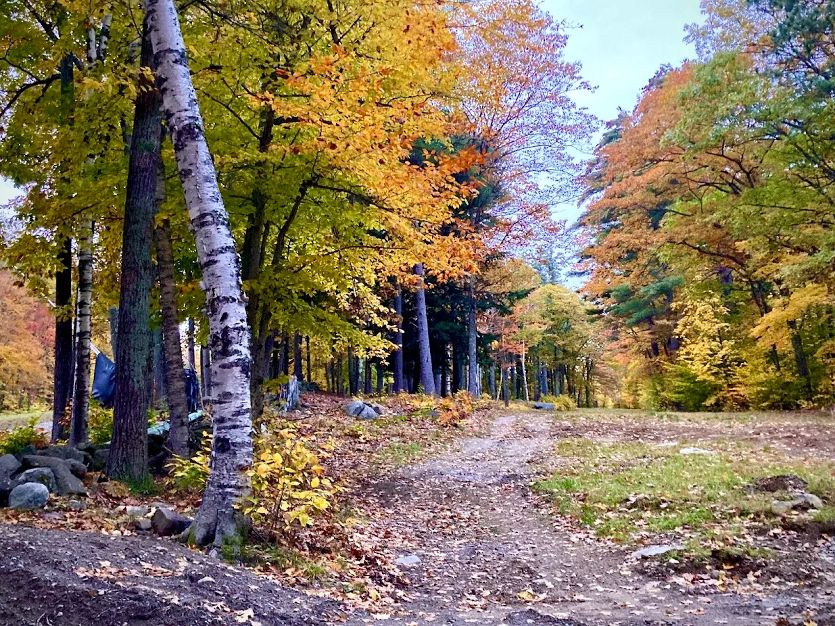Monadnock-Sunapee Greenway Trail