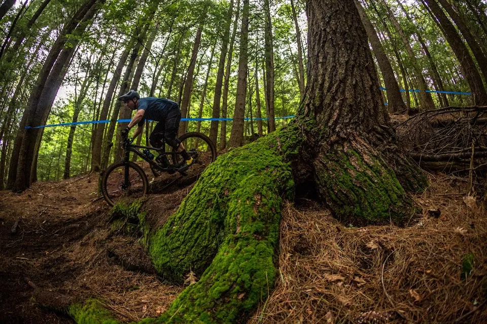 Arrowhead enduro trails