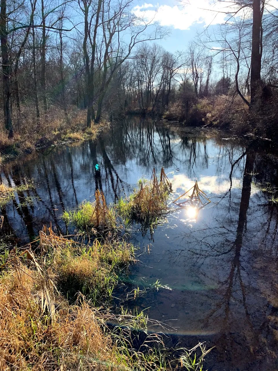 Neversink Preserve