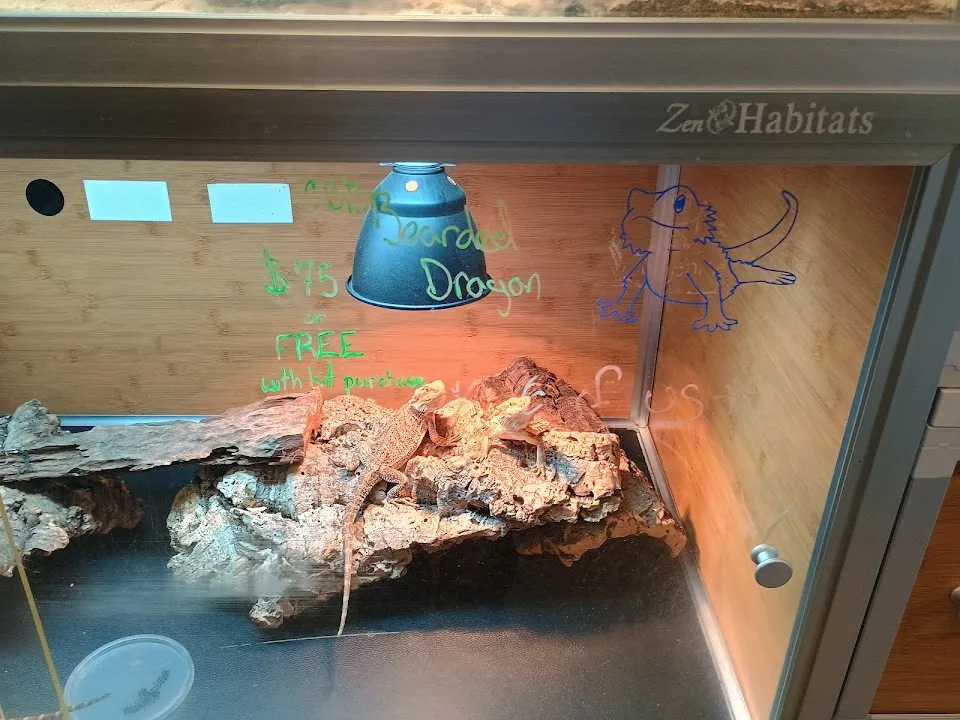 Scutes and Scales