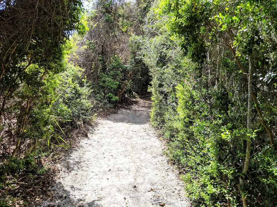 Timucuan Park