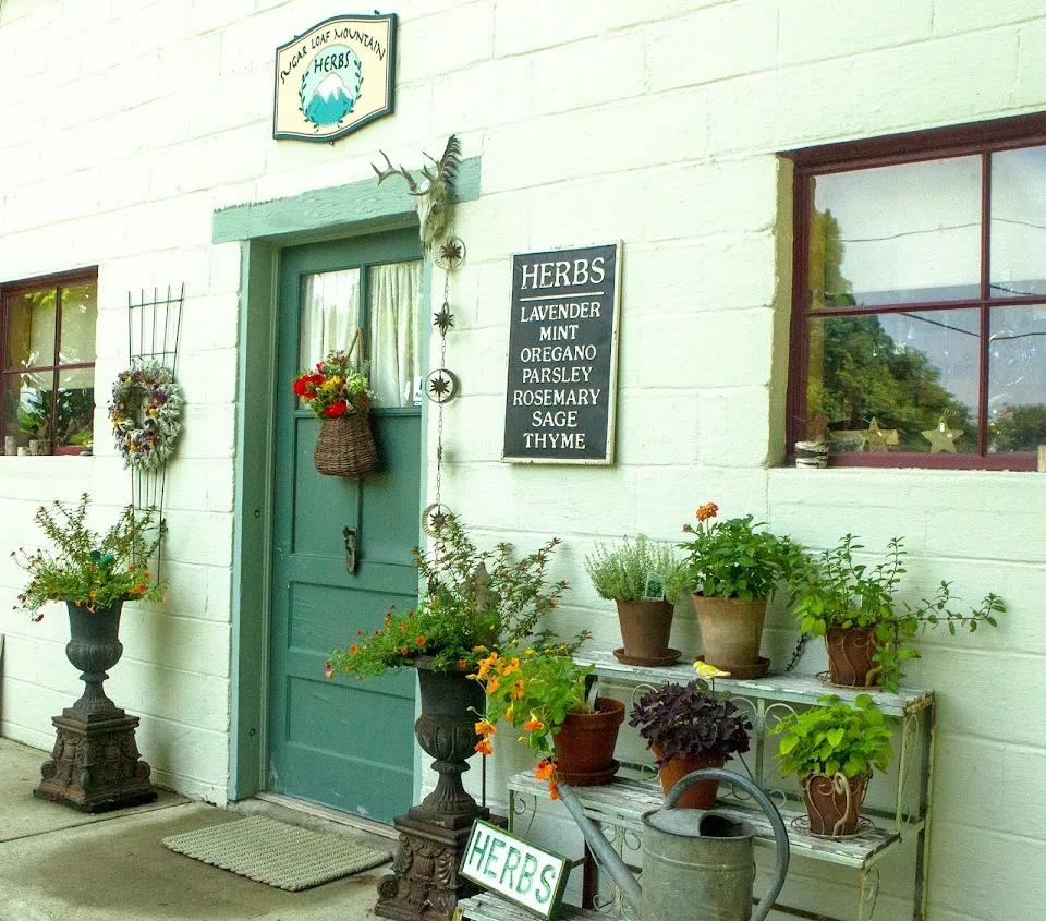 Sugar Loaf Mountain Herbs