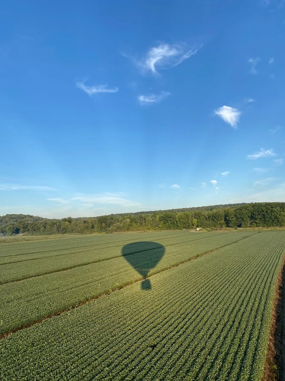 Enchanted Balloon Tours