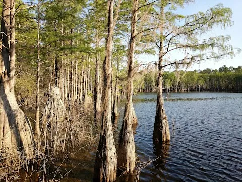 Pine Log Wildlife Management Area