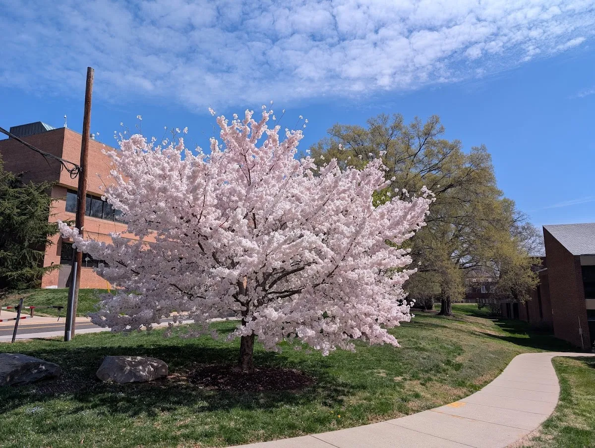 University of Maryland Art Gallery